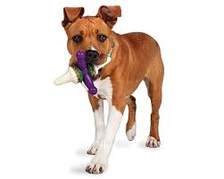 10 best big dog toys strong