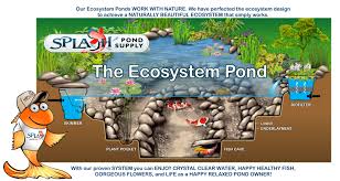 ecosystem pond