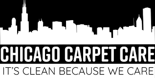 chicago carpet care expert carpet