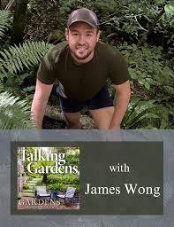 james wong on houseplants and his