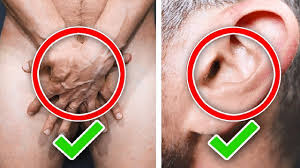 Type 1 hair is straight, type 2 is. 5 Best Men S Pubic Hair Styles Designs How To Shape Your Pubes I Am Alpha M