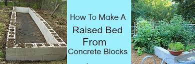 diy raised bed using concret blocks