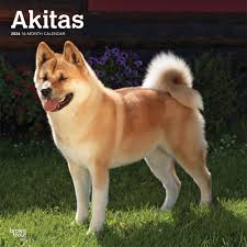 akita dog lover gifts apparel jewelry