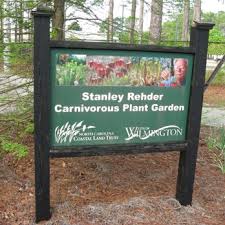 stanley rehder carnivorous plant garden