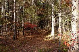 P inhoti national recreation trail / pinhoti millennium legacy trail a 337.1. Alabama Pinhoti Trail Alabama Indigenous Mound Trail