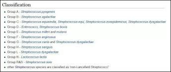 Classify Streptococcus Bacteri On Based Antigens On Their