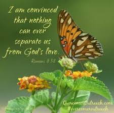 Butterfly Bible Quotes on Pinterest | Psalms, 2 Corinthians and ... via Relatably.com