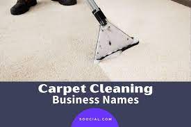 467 catchy carpet cleaning business
