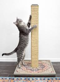 diy cat scratching post that lasts for