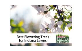 Flowering trees add beautiful pink, red, purple, or white colors to any large or small garden. Best Flowering Trees For Indiana Anthonys Lawn Care Landscaping