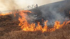 100 de hectare au ars duminică la Apostolache. Imagini de la intervenția pompierilor - Observatorul Prahovean