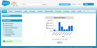 Salesforce On The Go Analytics Report Chart With Dynamic
