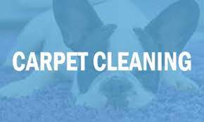carpet cleaning services in niceville