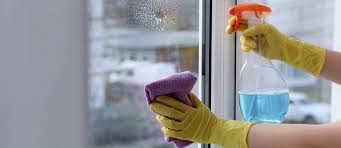 How To Clean Doors And Windows With