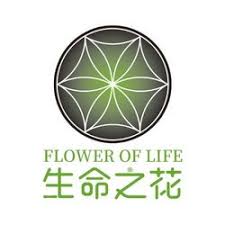 Flower Of Life Foli Price Marketcap Chart And Fundamentals Info Coingecko