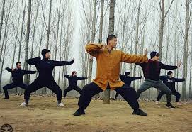 yu kung fu learn kung fu in china