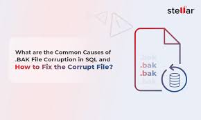 how to re bak file in sql server