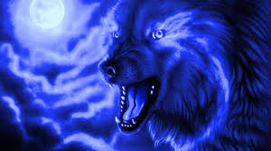 cool wolf wallpapers wallpaper cave