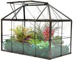 Large Glass Plant Terrarium House