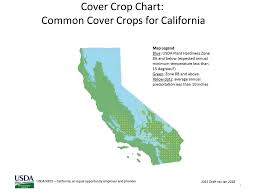 Cover Crops In Almonds West Coast Nut