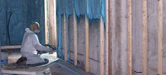 How to clean mold off of wood for leftover mold stains on wall studs in a basement whose walls are to be covered in drywall and on your webpage titled how to clean mold off of lumber or plywood you describe how mould can be. Why Are Basements Moldy How To Fix Prevent Mold In Homes Ecohome