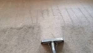 carpet cleaning services near wake