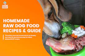 homemade raw dog food guide easy barf