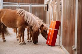 gifts for horse fundis