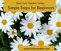 Start Your Garden Today Simple Steps