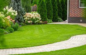 4 diy lawn and garden fertilizer
