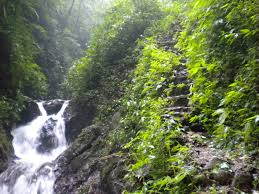 Image result for CURUG BENOWO