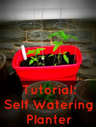 Homemade Self Watering Planter