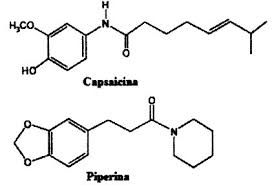 Image result for piperina molecula