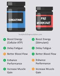 creatine vs pre workout which you