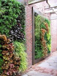diy wall gardens outdoor inspirations