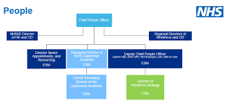Full Details New Nhs England And Improvement Structure