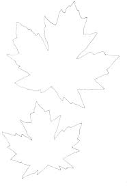 Printable Leaf Template With Lines Leaves Everywhere Book Children