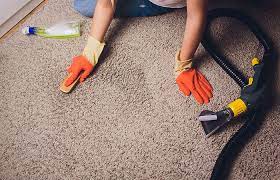 carpet cleaning services in auckland