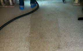 carpet cleaning brighton high tech