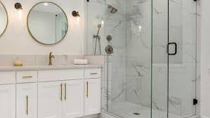 Frameless Shower Door