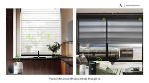 20 best motorized blinds shades for