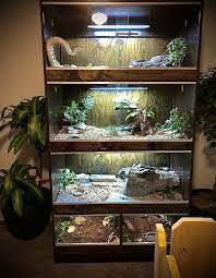 Diy Reptile Enclosure Reptile Room