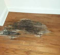 repair hardwood floors ktw hardwood