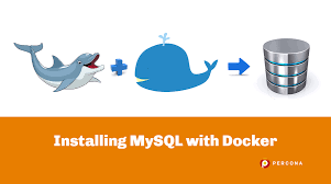 installing mysql with docker