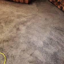 doctor steam carpet upholstery