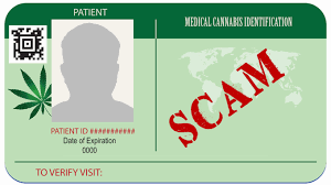 Looking to obtain your maryland medical marijuana card? Medical Cannabis Scammers Preying On Maryland Residents Hemp Gazette
