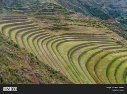 Inca Agricultural Image Photo Free Trial Bigstock