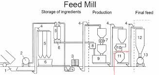 Production Of Soybean Derived Feed Material Free From