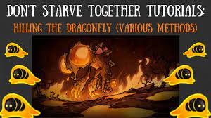 Don't Starve Together Guide: Killing The Dragonfly (Various Methods) -  YouTube