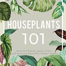 Stream Get Pdf Houseplants 101 How To